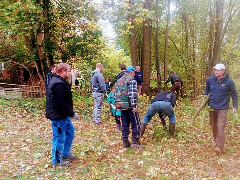 Arbeitseinsatz anlässlich des sächsischen Umwelttages am 20.10.2018